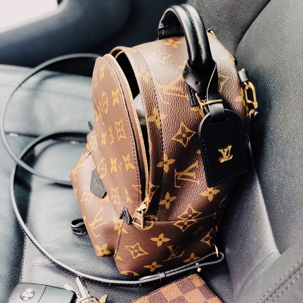 Louis Vuitton Palm Springs mini